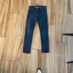 Banana Republic Dark Blue Skinny Jeans